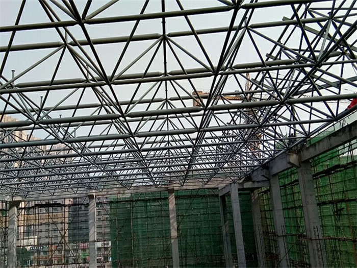 霸州光谷第十一小学网架